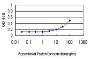 ELISA image for anti-V-Akt Murine Thymoma Viral Oncogene Homolog 1 (AKT1) (AA 1-481) antibody (ABIN598531) (AKT1 anticorps  (AA 1-481))