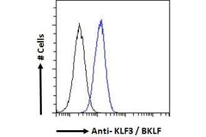 ABIN184727 Flow cytometric analysis of paraformaldehyde fixed A431 cells (blue line), permeabilized with 0.