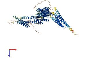 AlphaFold protein structure predicition of Mouse Recombinant Ctnnal1 Protein, UniprotID O88327