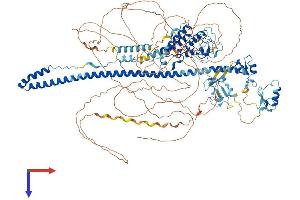 AlphaFold protein structure predicition of Mouse Recombinant Trim33 Protein, UniprotID Q99PP7
