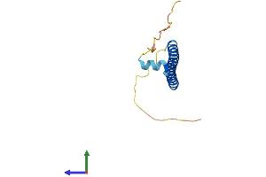 AlphaFold protein structure predicition of Mouse Recombinant Crebl2 Protein, UniprotID Q32M00