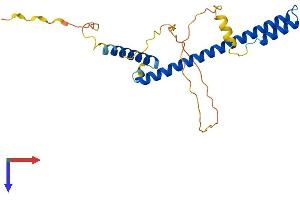 AlphaFold protein structure predicition of Human Recombinant HES6 Protein, UniprotID Q96HZ4