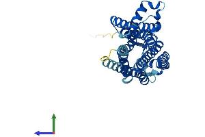 AlphaFold protein structure predicition of Human Recombinant TAAR8 Protein, UniprotID Q969N4