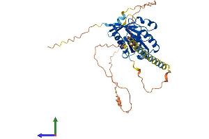 AlphaFold protein structure predicition of Mouse Recombinant Arl13a Protein, UniprotID Q9D416