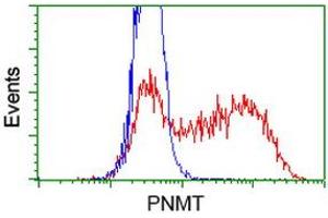 Flow Cytometry (FACS) image for anti-Phenylethanolamine N-Methyltransferase (PNMT) antibody (ABIN1500309) (PNMT anticorps)