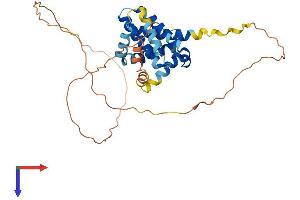 AlphaFold protein structure predicition of Mouse Recombinant Mcl1 Protein, UniprotID P97287
