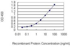 Detection limit for recombinant GST tagged PLD1 is 0. (PLD1 anticorps  (AA 965-1074))