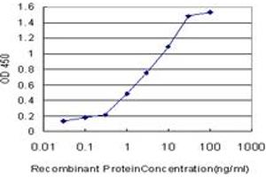 Detection limit for recombinant GST tagged CRYGD is approximately 0. (CRYGD anticorps  (AA 75-174))