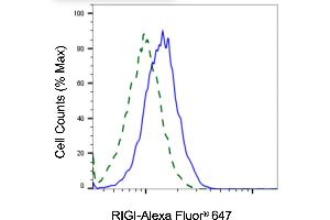 Validation of RIGI knockdown using flow cytometry.