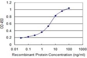 anti-Myogenic Differentiation 1 (MYOD1) (AA 211-320) antibody