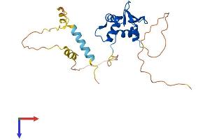 AlphaFold protein structure predicition of Human Recombinant SPIC Protein, UniprotID Q8N5J4