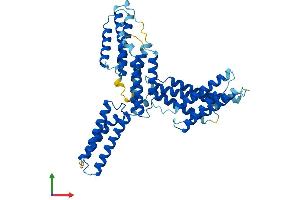 AlphaFold protein structure predicition of Mouse Recombinant Bag5 Protein, UniprotID Q8CI32