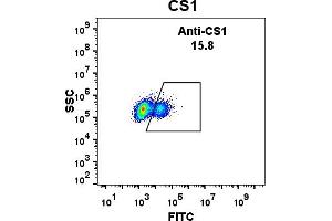 Expi 293 cell line transfected with human CS1 were surface stained with Rabbit anti-CS1monoclonal antibody 1 μg/mL (clone: DM9) followed by Alexa 488-conjugated anti-rabbit IgG secondary antibody. (Catalase anticorps  (AA 23-226))