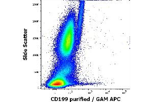 Flow cytometry surface staining pattern of human peripheral whole blood stained using anti-human CD199 (C9Mab-1) purified antibody (concentration in sample 0. (CCR9 anticorps)