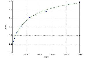 A typical standard curve