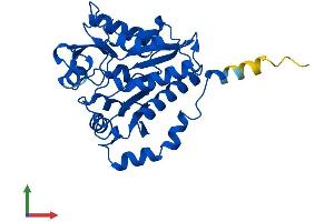 AlphaFold protein structure predicition of Mouse Recombinant Gnpda1 Protein, UniprotID O88958