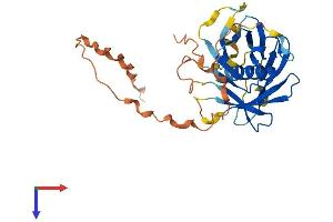 AlphaFold protein structure predicition of Mouse Recombinant Plscr3 Protein, UniprotID Q9JIZ9
