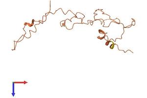AlphaFold protein structure predicition of Human Recombinant KRTAP9-7 Protein, UniprotID A8MTY7