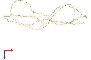 AlphaFold protein structure predicition of Human Recombinant HMGN5 Protein, UniprotID P82970
