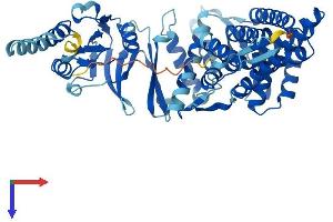 AlphaFold protein structure predicition of Human Recombinant CCT7 Protein, UniprotID Q99832