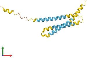 AlphaFold protein structure predicition of Mouse Recombinant Ninj2 Protein, UniprotID Q9JL89