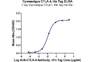 Immobilized Cynomolgus CTLA-4, His Tag at 1 μg/mL (100 μL/well) on the plate. (CTLA4 Protein (AA 37-160) (His tag))