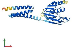 AlphaFold protein structure predicition of Mouse Recombinant Mitd1 Protein, UniprotID Q8VDV8