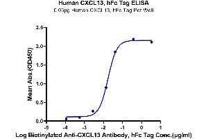 Immobilized Human CXCL13, hFc Tag at 0.