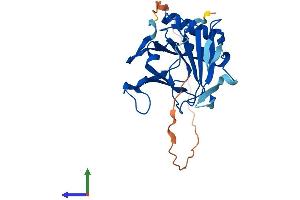 AlphaFold protein structure predicition of Human Recombinant ALKBH2 Protein, UniprotID Q6NS38