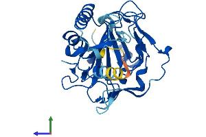 AlphaFold protein structure predicition of Mouse Recombinant Phyhd1 Protein, UniprotID Q9DB26
