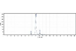 The purity of Anti-FGFR3 / CD333 Reference Antibody (vofatamab) is 100 % , determined by SEC-HPLC.
