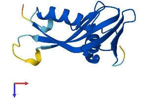 AlphaFold protein structure predicition of Mouse Recombinant Phpt1 Protein, UniprotID Q9DAK9