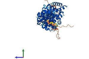 AlphaFold protein structure predicition of Human Recombinant ATP6V1H Protein, UniprotID Q9UI12
