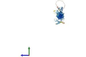 AlphaFold protein structure predicition of Human Recombinant EXOC6 Protein, UniprotID Q8TAG9