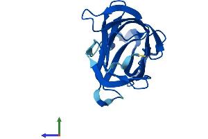 AlphaFold protein structure predicition of Mouse Recombinant Cnrip1 Protein, UniprotID Q5M8N0