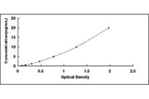 Typical standard curve (Angiomotin Kit ELISA)