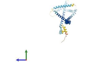 AlphaFold protein structure predicition of Human Recombinant HAUS4 Protein, UniprotID Q9H6D7