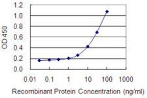 Detection limit for recombinant GST tagged SLC15A3 is 0. (SLC15A3 anticorps  (AA 254-311))