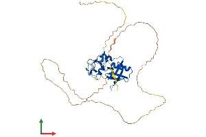 AlphaFold protein structure predicition of Human Recombinant RNF146 Protein, UniprotID Q9NTX7