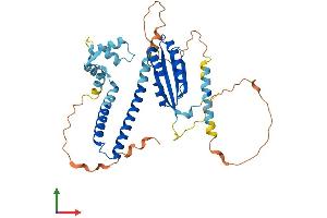 AlphaFold protein structure predicition of Human Recombinant NECAB3 Protein, UniprotID Q96P71