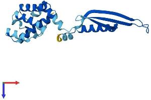 AlphaFold protein structure predicition of Human Recombinant COMMD2 Protein, UniprotID Q86X83