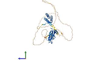 AlphaFold protein structure predicition of Mouse Recombinant Lhx1 Protein, UniprotID P63006