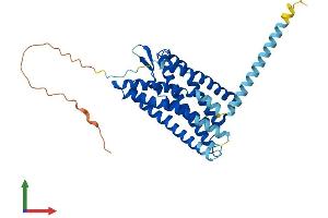 AlphaFold protein structure predicition of Human Recombinant P2RY1 Protein, UniprotID P47900