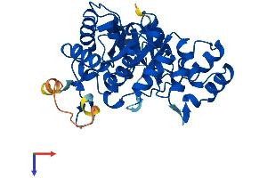 AlphaFold protein structure predicition of Human Recombinant AKR1E2 Protein, UniprotID Q96JD6