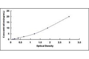 Typical standard curve (PSMA5 Kit ELISA)