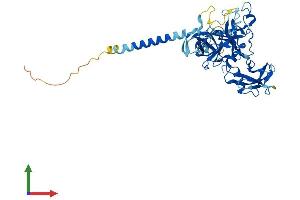 AlphaFold protein structure predicition of Mouse Recombinant Tmprss4 Protein, UniprotID Q8VCA5