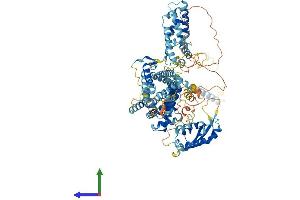 AlphaFold protein structure predicition of Human Recombinant SNX14 Protein, UniprotID Q9Y5W7