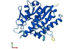 AlphaFold protein structure predicition of Human Recombinant PNPLA4 Protein, UniprotID P41247