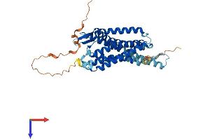 AlphaFold protein structure predicition of Human Recombinant PRLHR Protein, UniprotID P49683