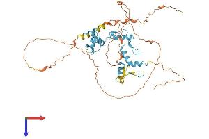 AlphaFold protein structure predicition of Human Recombinant ZNF362 Protein, UniprotID Q5T0B9
